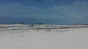 Pláž za odlivu